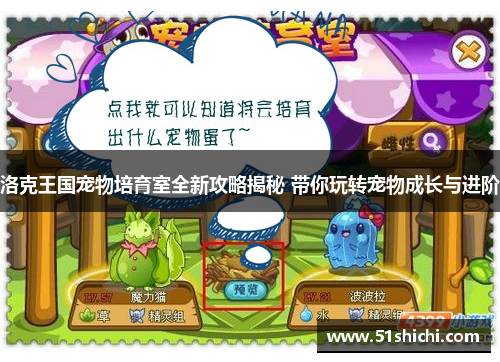 洛克王国宠物培育室全新攻略揭秘 带你玩转宠物成长与进阶